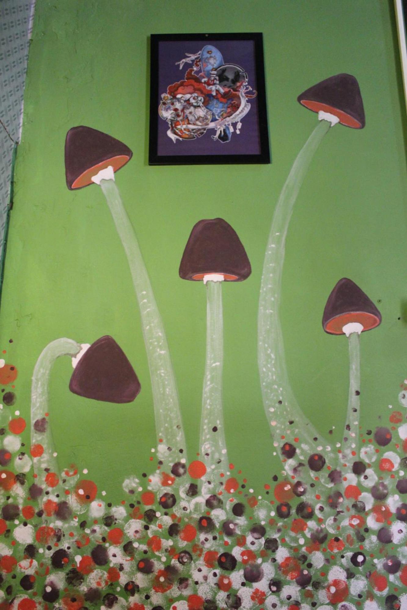 Ostello Fun House *